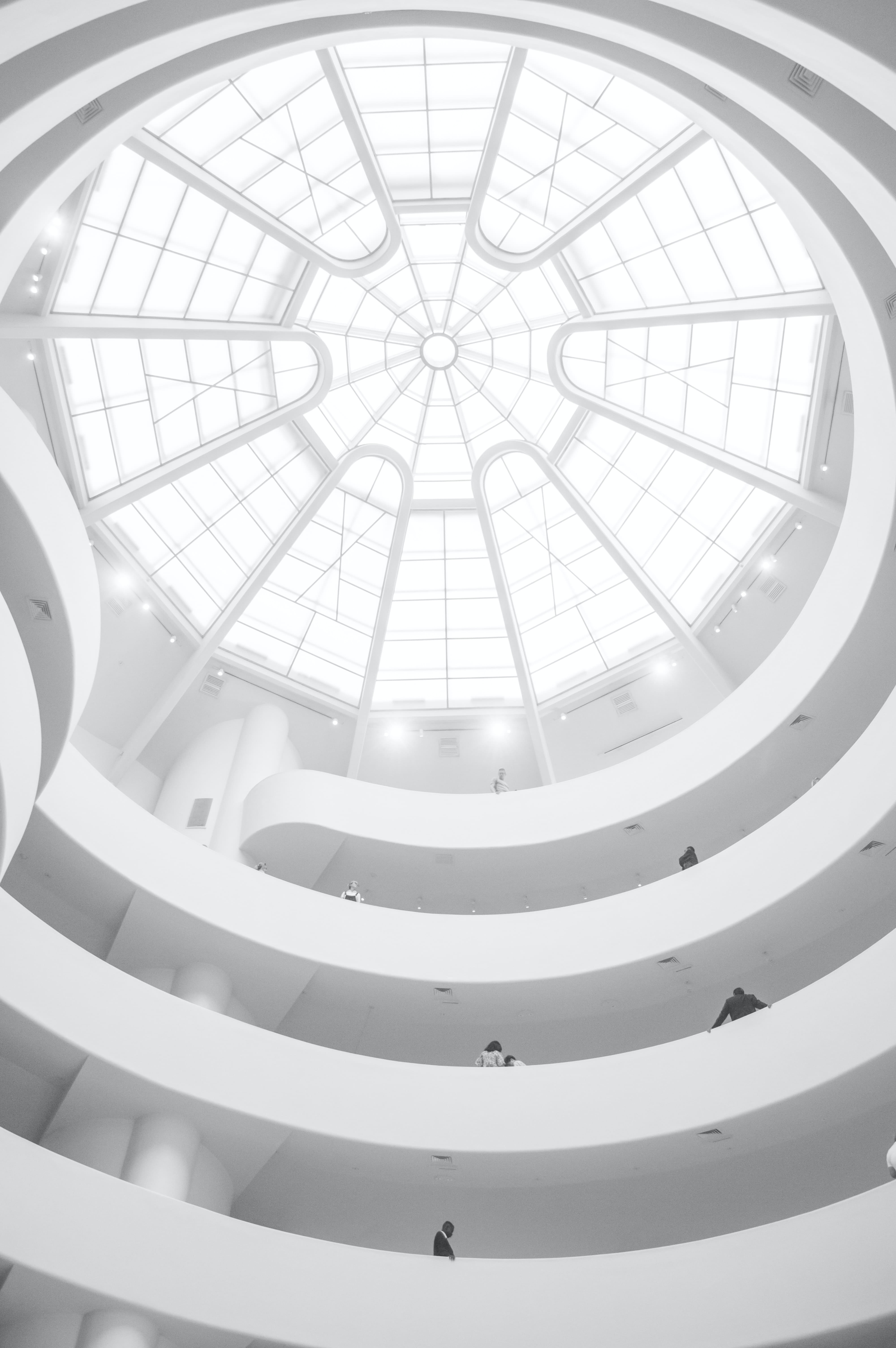 White Light, vue en gros plan